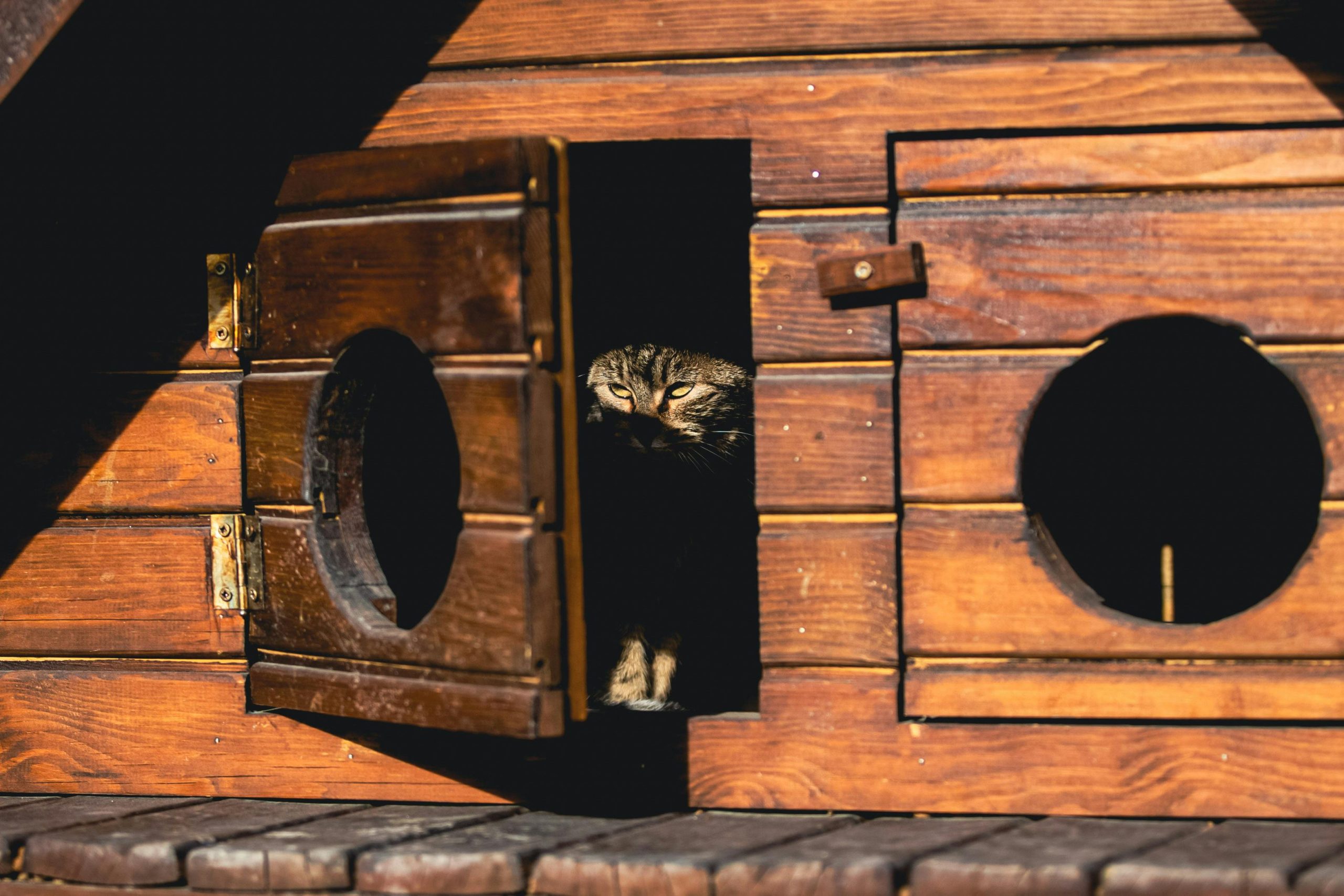 Astuces pour l'occultation d'un portail