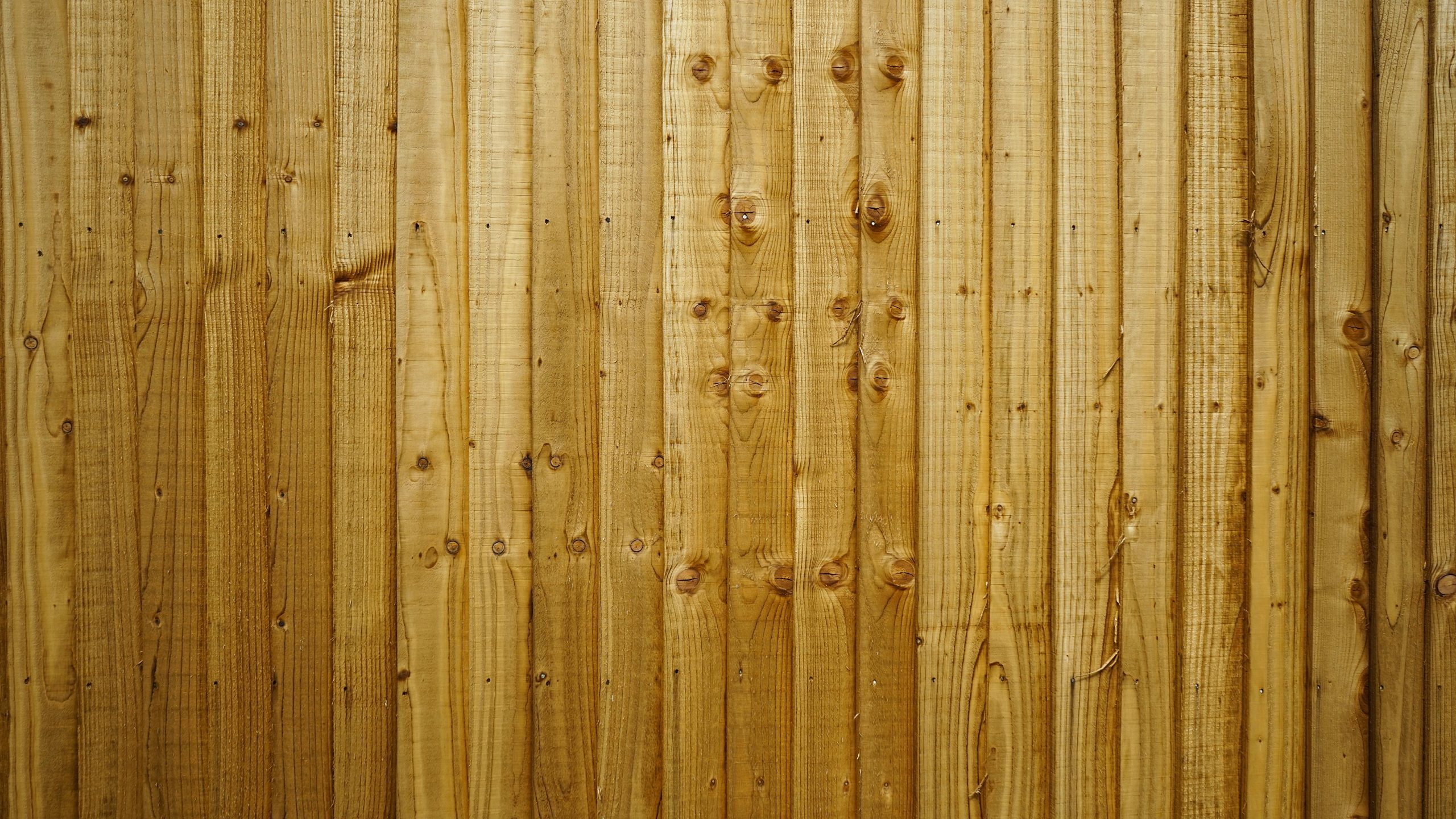 Construction palissade bois verticale