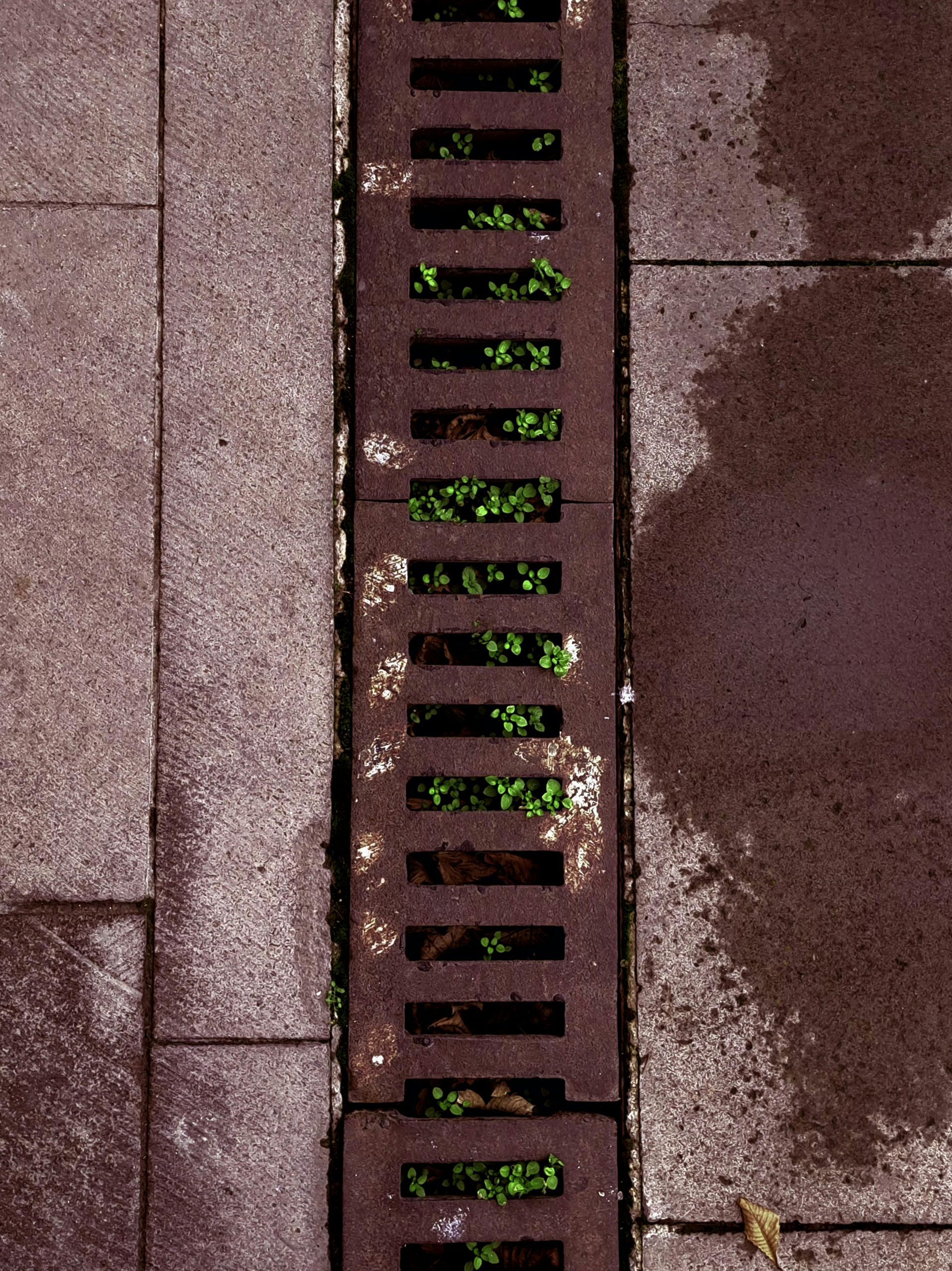 Installation drain mur soutènement