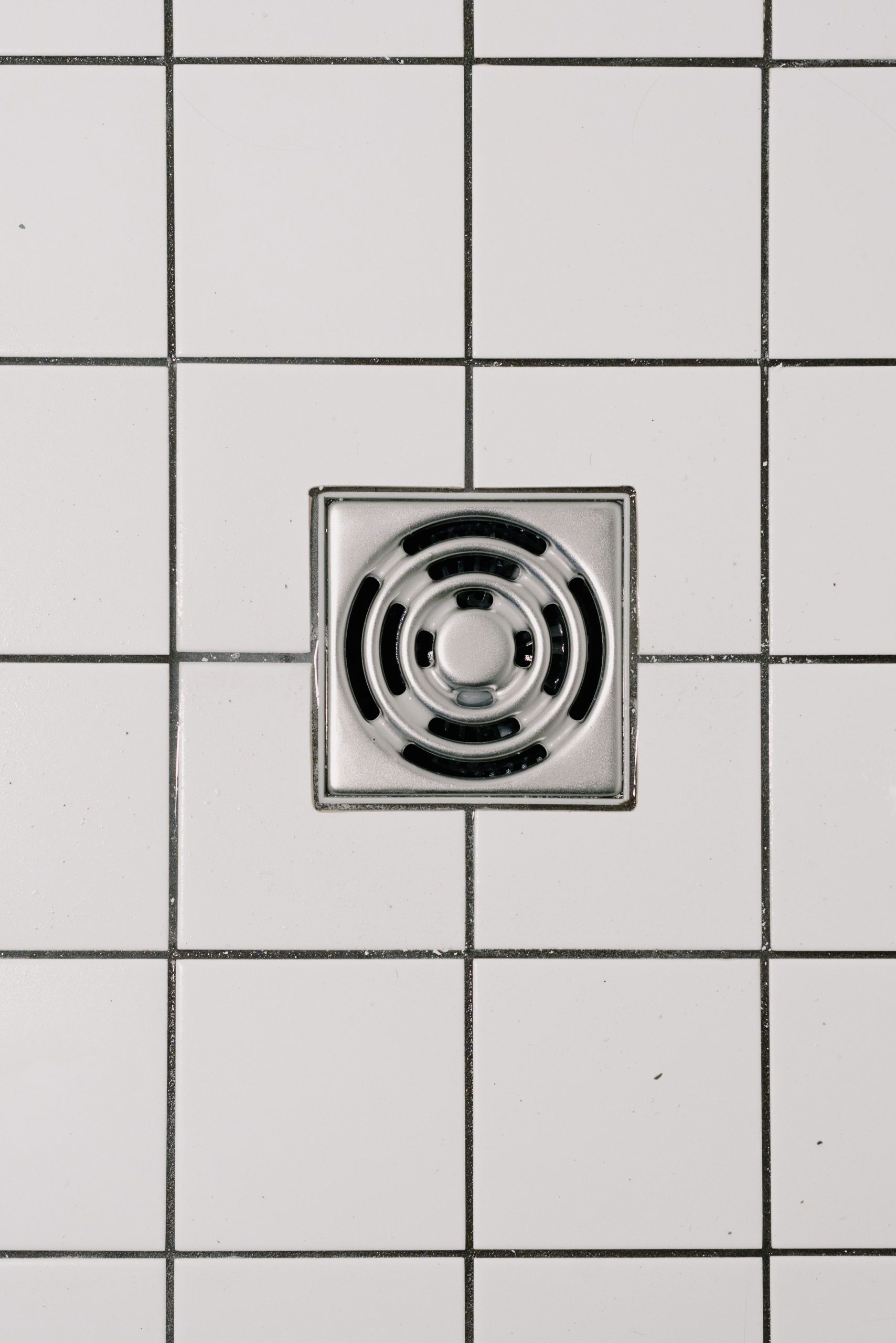 Top view of white ceramic tile floor with stainless steel square shaped cover of drain in contemporary shower Vue de dessus d'un sol carrelé blanc avec couverture de drain en acier inoxydable de forme carrée dans une douche contemporaine.