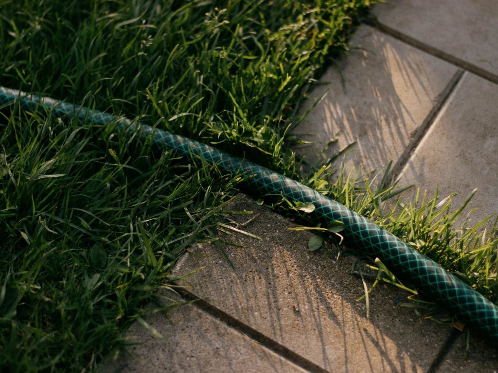 Quand planter du gazon pour une pelouse dense ?