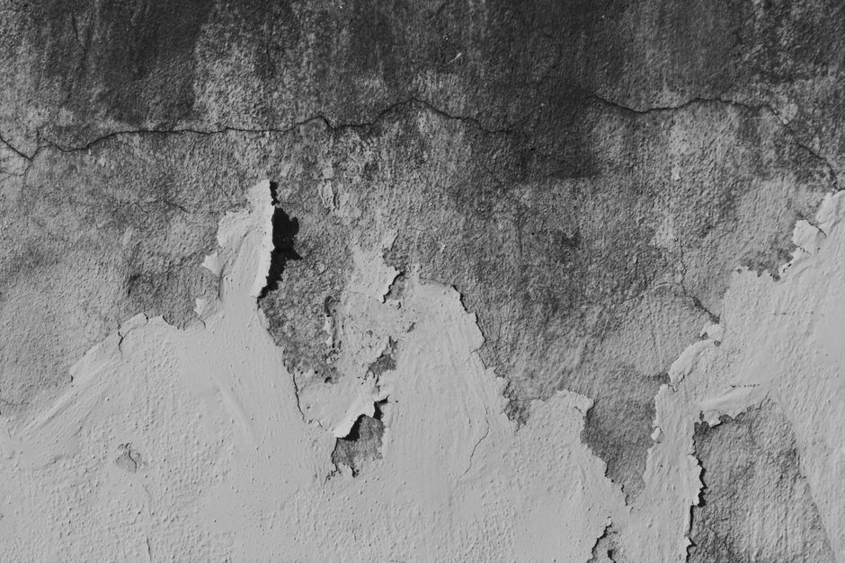 Fissure dans un mur : faut-il s&rsquo;inquiéter ?