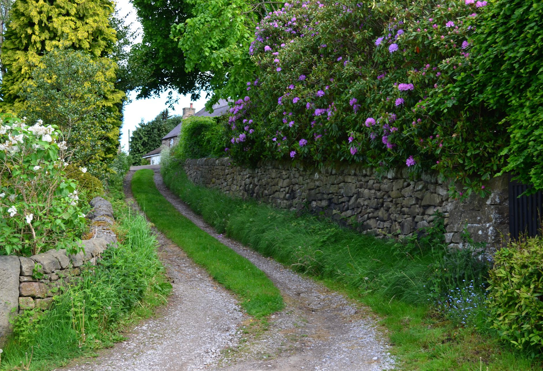 Allée en pierre le long d’un mur
